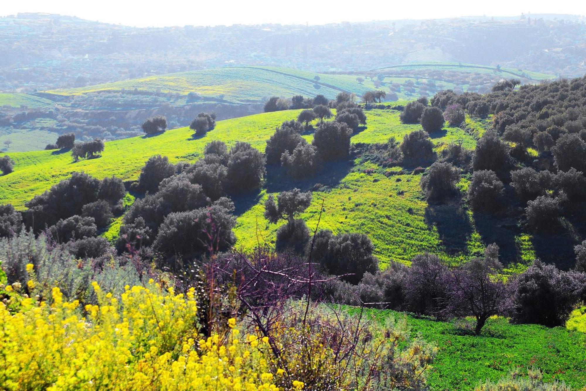 Agriturismo Giannavi 팔라쫄로 아크레이데 외부 사진