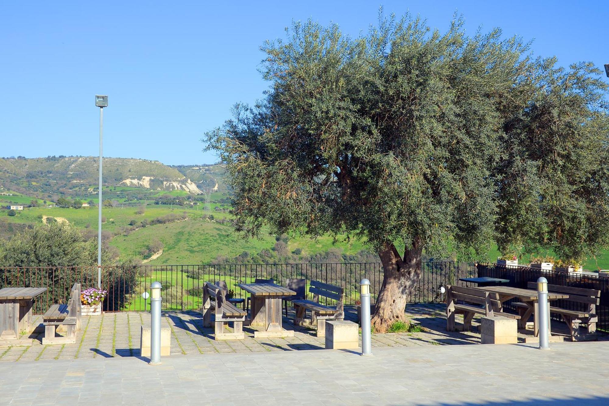 Agriturismo Giannavi 팔라쫄로 아크레이데 외부 사진